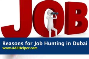 reasons for job hunting in Dubai