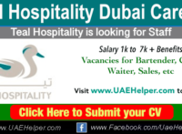 Teal Hospitality Dubai Careers - Jobs in Dubai and UAE