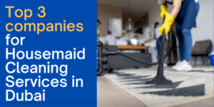 Top 3 companies for Housemaid Cleaning Services in Dubai