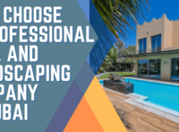 Why Choose a Professional Pool and Landscaping Company in Dubai