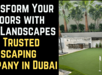 Transform Your Outdoors with Easi Landscapes – Your Trusted Landscaping Company in Dubai