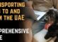 Transporting Pets to and from the UAE: A Comprehensive Guide