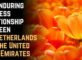 The Enduring Business Relationship between the Netherlands and the United Arab Emirates