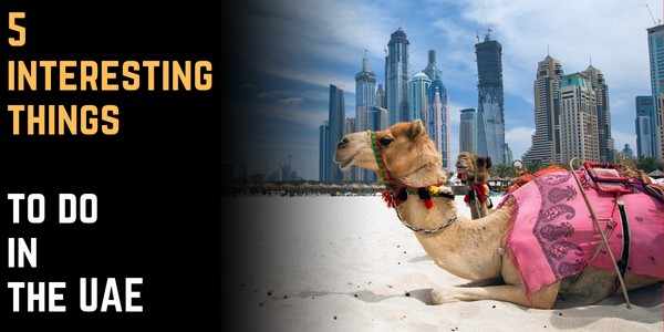 5 interesting things to do in the UAE