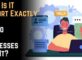What Is IT Support Exactly, and Do Dubai Businesses Need It? Check Now!