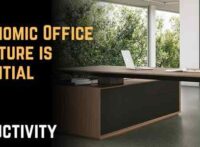 Why Ergonomic Office Furniture is Essential for Productivity
