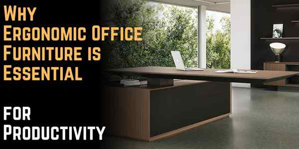 Why Ergonomic Office Furniture is Essential for Productivity