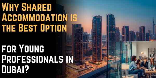 Why Shared Accommodation is the Best Option for Young Professionals in Dubai?