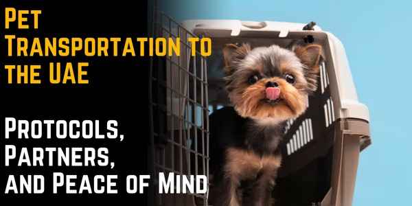 Pet Transportation to the UAE: Protocols, Partners, and Peace of Mind