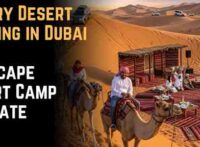 Luxury Desert Camping in Dubai: TripScape Desert Camp Ultimate Guide