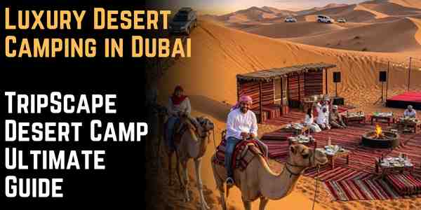 Luxury Desert Camping in Dubai: TripScape Desert Camp Ultimate Guide
