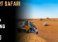 Desert Safari Dubai Group Booking Guide (2025)