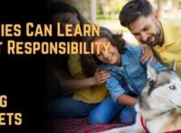 What Families Can Learn About Responsibility from Caring for Pets