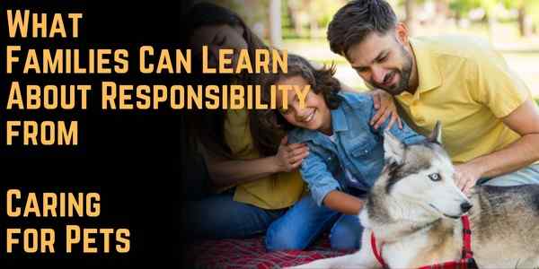 What Families Can Learn About Responsibility from Caring for Pets