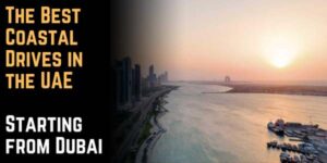The Best Coastal Drives in the UAE Starting from Dubai