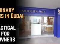 Top 7 Veterinary Clinics in Dubai: A Practical Guide for Pet Owners