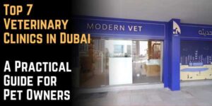 Top 7 Veterinary Clinics in Dubai: A Practical Guide for Pet Owners