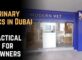 Top 7 Veterinary Clinics in Dubai: A Practical Guide for Pet Owners