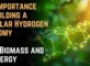 Anura Leslie Perera Emphasizes on the Importance of Building a Circular Hydrogen Economy with Biomass and Bioenergy