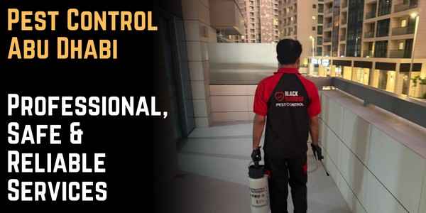 Pest Control Abu Dhabi – Professional, Safe & Reliable Services