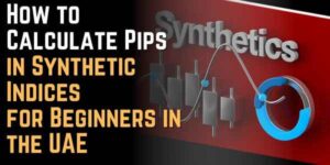 How to Calculate Pips in Synthetic Indices for Beginners in the UAE