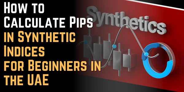 How to Calculate Pips in Synthetic Indices for Beginners in the UAE