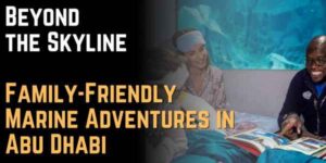 Beyond the Skyline Family-Friendly Marine Adventures in Abu Dhabi