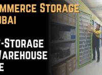 E-Commerce Storage in Dubai Self-Storage vs Warehouse Guide