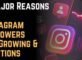 9 Major Reasons Instagram Followers Not Growing & Solutions