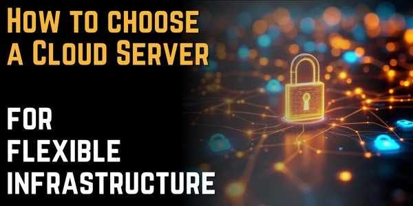 How to choose a Cloud Server for flexible infrastructure