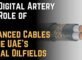 The Digital Artery The Role of Advanced Cables in the UAE's Digital Oilfields
