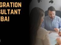 Immigration Consultant in Dubai in 2026 Pros and Cons of an Immigration Advisor Career in the UAE