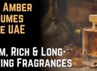 Best Amber Perfumes in the UAE Warm, Rich & Long-Lasting Fragrances