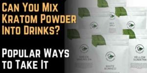 Can You Mix Kratom Powder Into Drinks Popular Ways to Take It