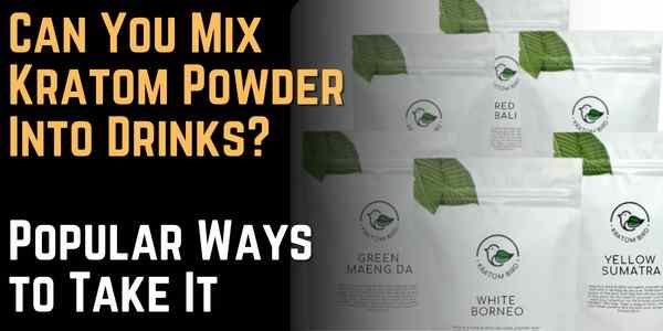 Can You Mix Kratom Powder Into Drinks Popular Ways to Take It