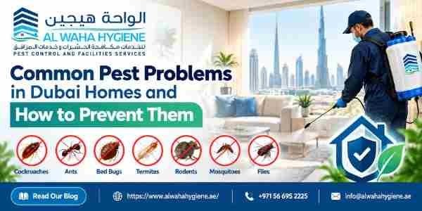 Common Pest Problems in Dubai Homes and How to Prevent Them
