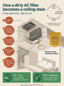 Guide How Often to Clean Your AC in Dubai, How Much It Costs, and How to Book a Service
