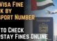 UAE visa fine check by passport number using official immigration services